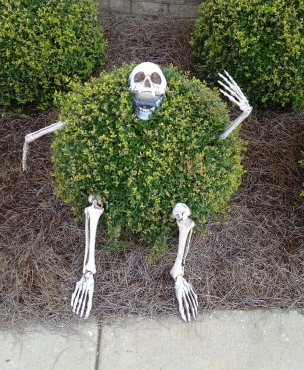 Realistic Halloween Skeleton Stakes with Skull and Arms for Garden Lawn Decor